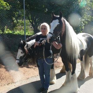 Meet your Posher, Beverly